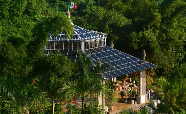A Tropical Wonderland: Puerto Vallarta Botanical Gardens